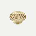 SEASHELL HAIRCLAW