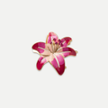 LILYS HAIRCLAW