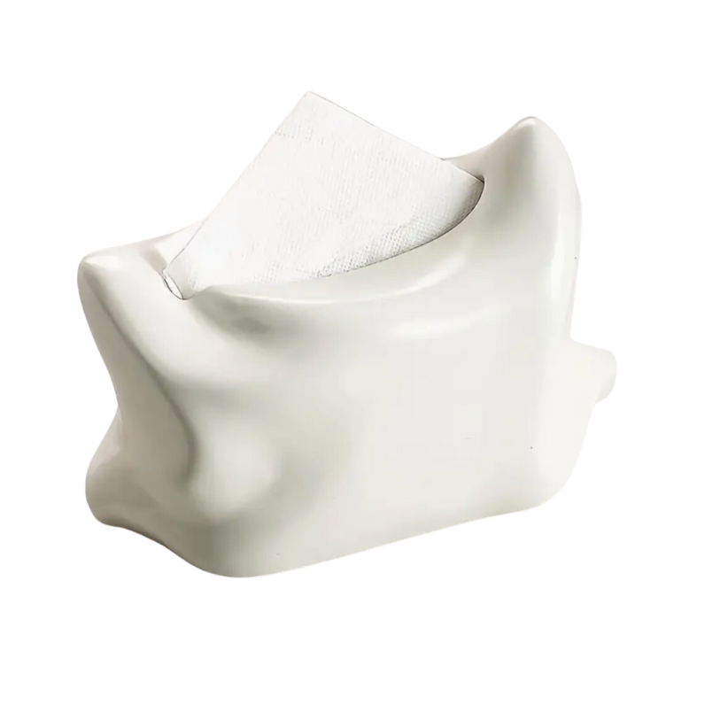 ceramic tissue holder