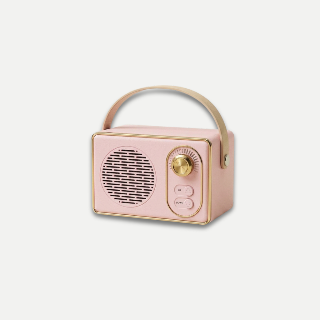 BLUETOOTH SPEAKER