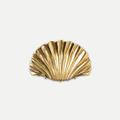 SHELL CLAW