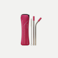 STAINLESS STEEL STRAW SET