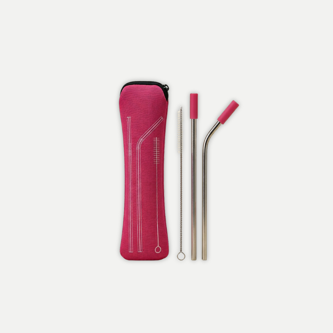 STAINLESS STEEL STRAW SET