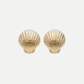SHELLS