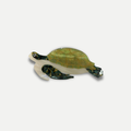 TURTLE CLAW
