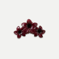RED BLOOM CLAW