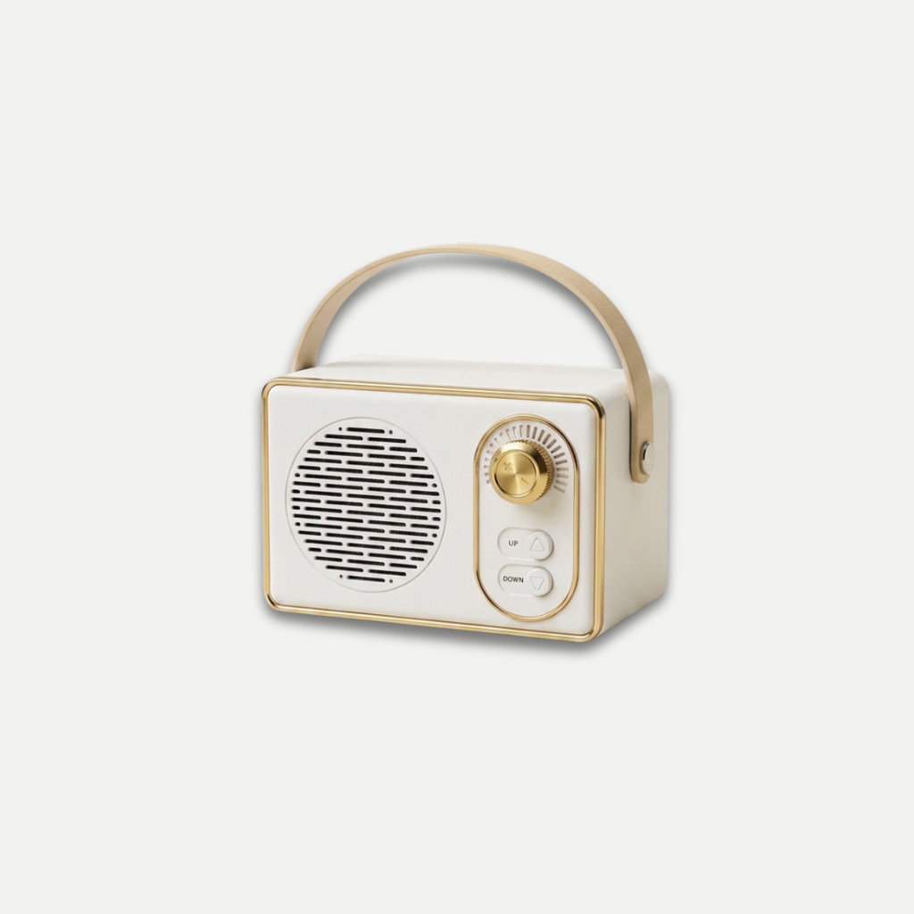BLUETOOTH SPEAKER